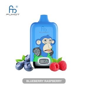 Fumot 12000 Blueberry Raspberry | Randm Tornado 12000 Fumot Digital Box 12000 E-Zigarette top 10