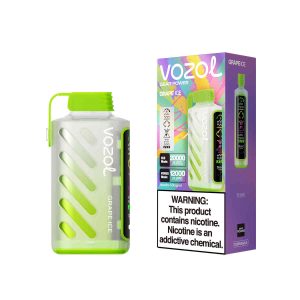 VOZOL Gear Power 20000 Grape Ice: Erlebe die ultimative Frische mit 20.000 Zügen