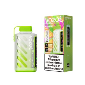 VOZOL Gear Power 20000 Strawberry Kiwi: Erlebe die ultimative Frische mit 20.000 Zügen
