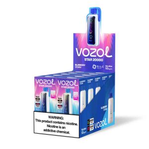 Vozol Star 20000 Blueberry Storm | Premium Einweg E-Zigarette mit intensivem Blaubeer-Geschmack | Fumot Store Vozol 20 000